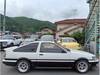 TOYOTA COROLLA LEVIN