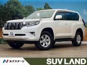 2019 TOYOTA LAND CRUISER PRADO TX