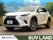 2020 LEXUS NX