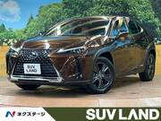2020 LEXUS UX