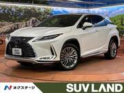 2019 LEXUS RX