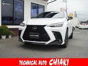 2025 LEXUS NX