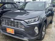 2019 TOYOTA RAV4 G