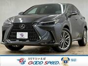 2023 LEXUS NX