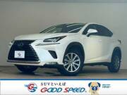 2019 LEXUS NX