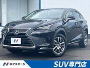 2018 LEXUS NX