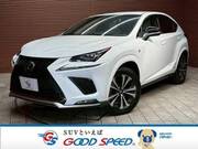 2019 LEXUS NX