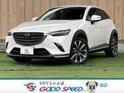 2019 MAZDA CX-3