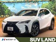 2020 LEXUS UX