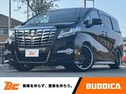 2017 TOYOTA ALPHARD