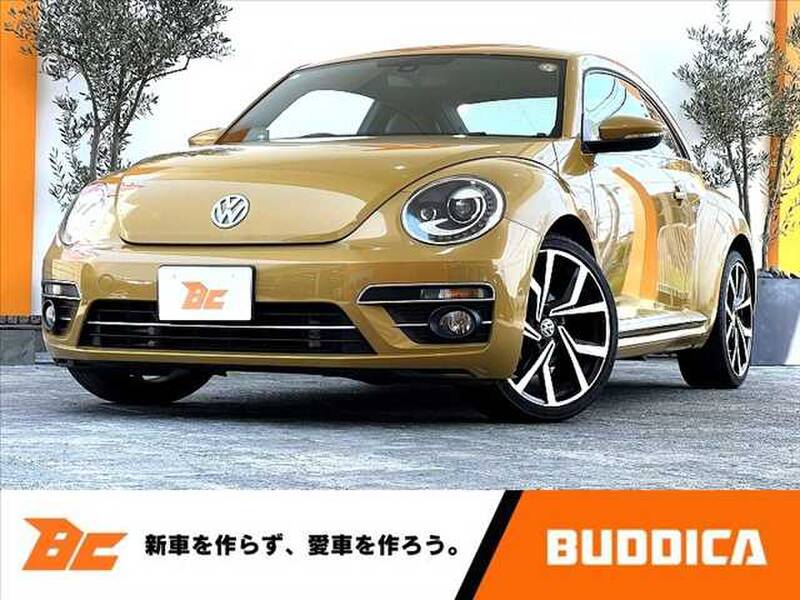-THE BEETLE
