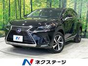 2020 LEXUS NX