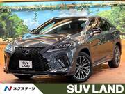 2022 LEXUS RX