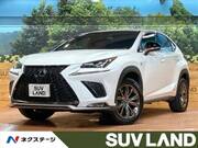 2019 LEXUS NX