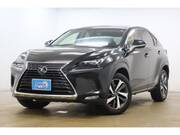 2018 LEXUS NX