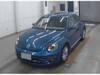 VOLKSWAGEN THE BEETLE