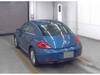 VOLKSWAGEN THE BEETLE