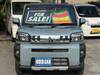 DAIHATSU OTHER