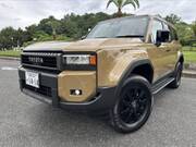 2024 TOYOTA LANDCRUISER 250