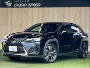 2020 LEXUS UX