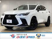 2022 LEXUS NX