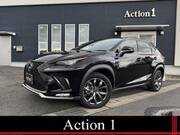 2019 LEXUS NX
