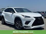 2020 LEXUS NX