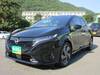 NISSAN OTHER