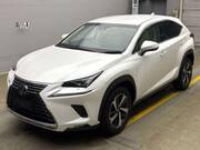 2018 LEXUS NX