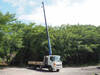HINO POWDER CEMENT TRUCK