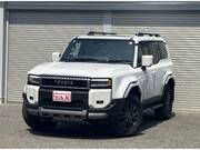 2024 TOYOTA LANDCRUISER 250