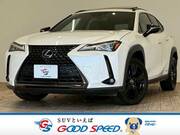 2021 LEXUS UX