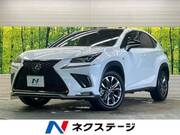 2019 LEXUS NX