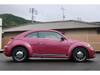 VOLKSWAGEN THE BEETLE