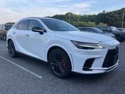 2024 LEXUS RX