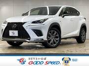 2019 LEXUS NX