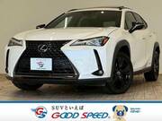 2021 LEXUS UX
