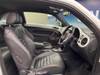 VOLKSWAGEN THE BEETLE