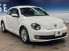 VOLKSWAGEN THE BEETLE