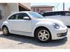 VOLKSWAGEN THE BEETLE