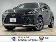 2018 LEXUS NX