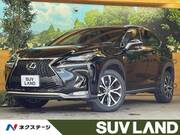 2015 LEXUS NX