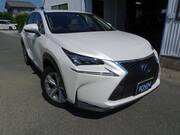 2014 LEXUS NX