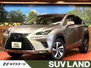 2021 LEXUS NX