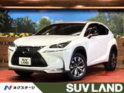 2017 LEXUS NX