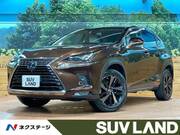 2018 LEXUS NX
