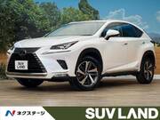 2018 LEXUS NX