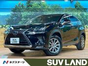 2020 LEXUS NX