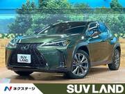 2022 LEXUS UX
