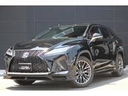 2019 LEXUS RX